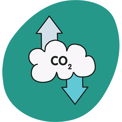 Co2 icon