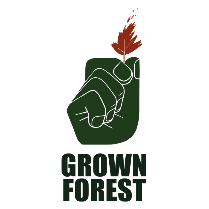 grown forest