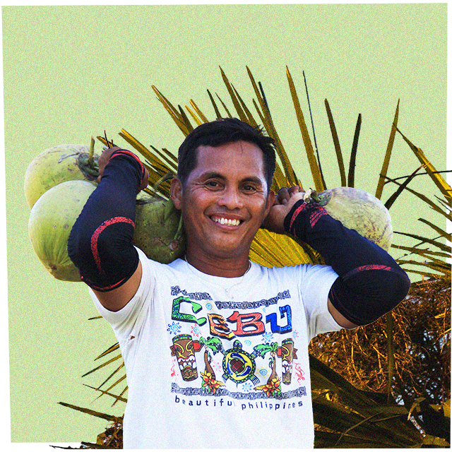 farmer carrying coconuts