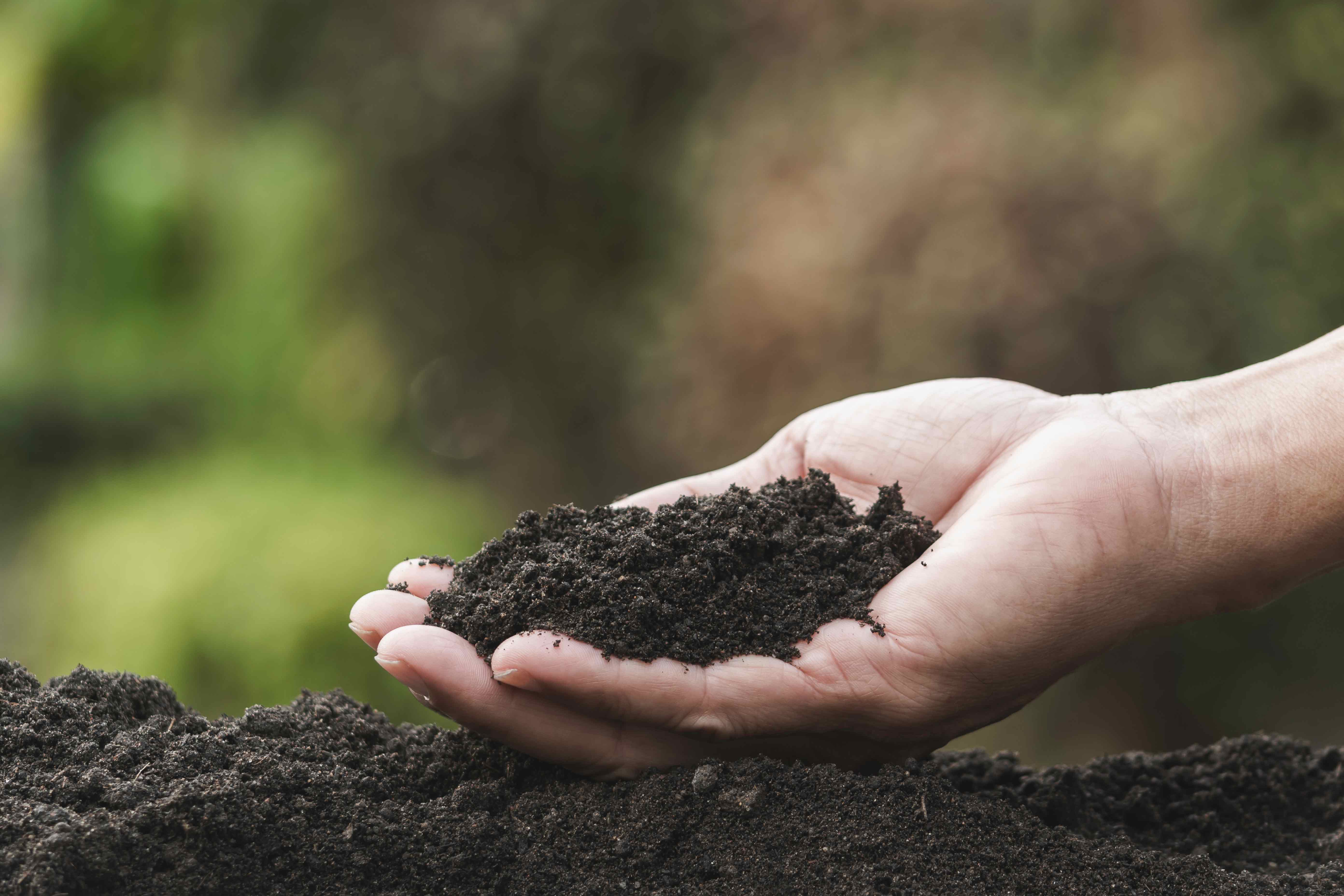 soil