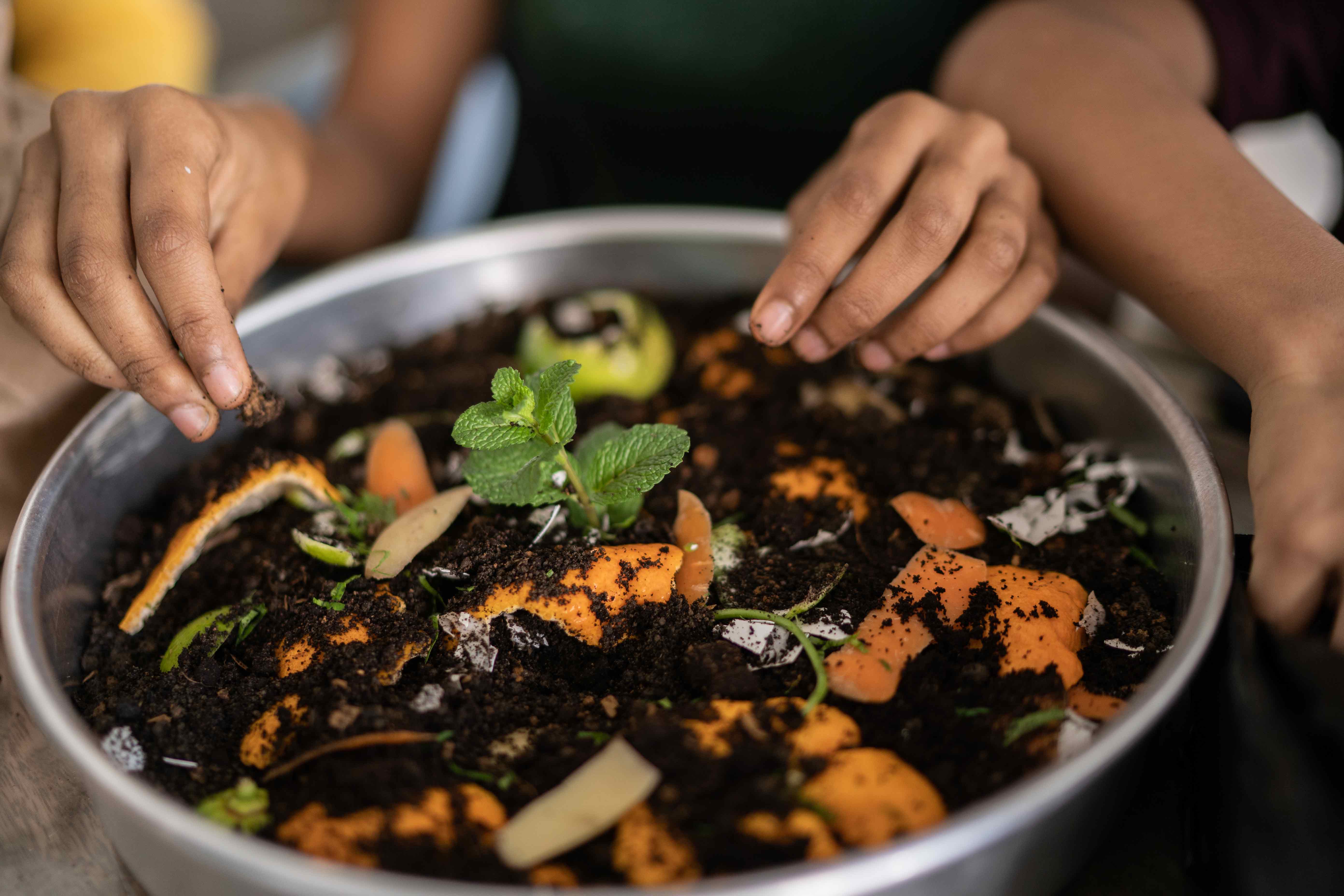 compost