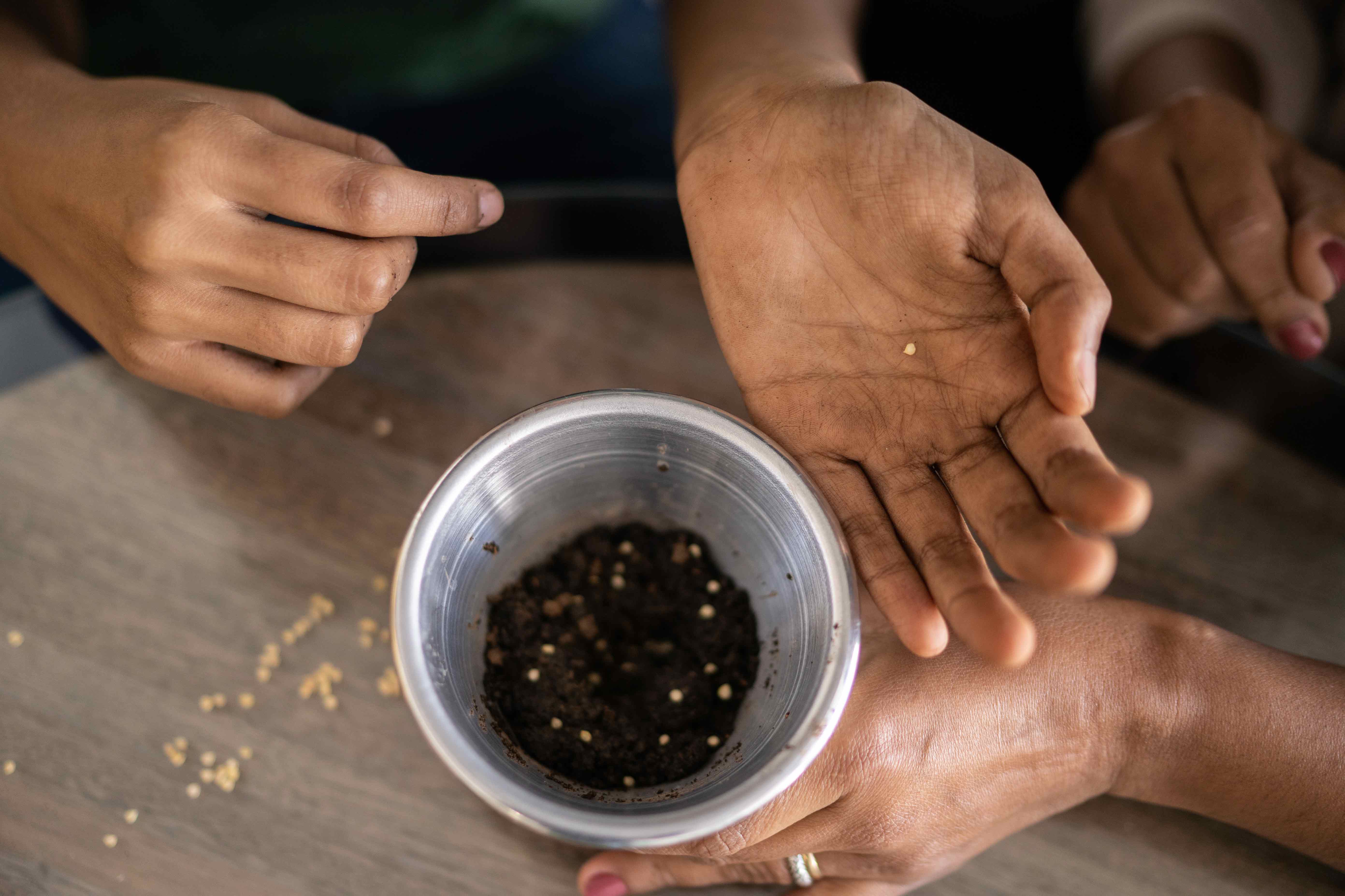 InnocentDrinks, composter, header