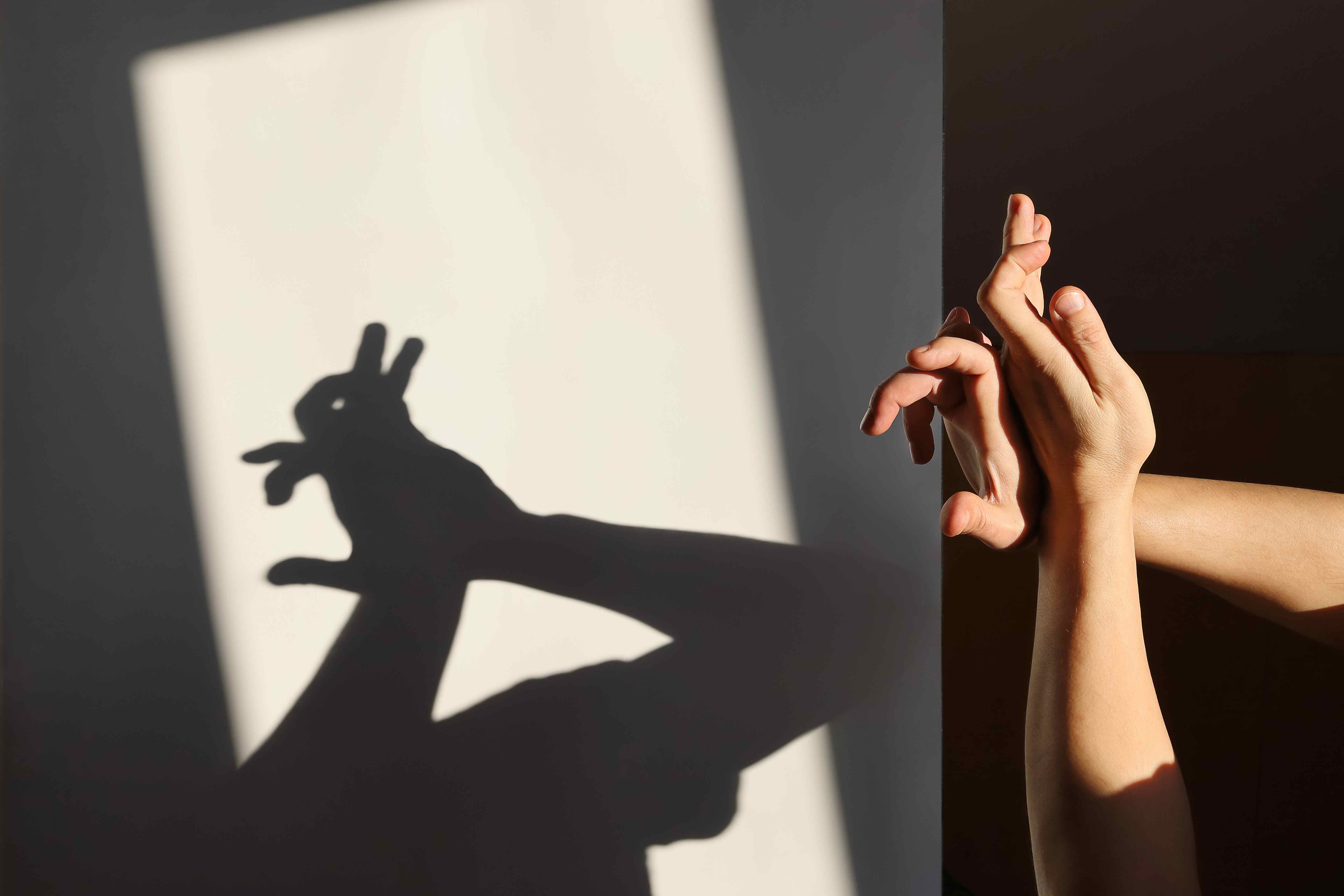 InnocentDrinks, person and child shadow puppeting