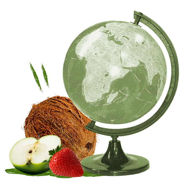 a globe with a coconut, half an apple and a strawberry to show our fruit sourcing